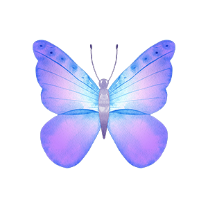 Butterfly_01