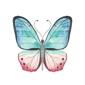 Butterfly_04