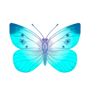 Butterfly_08