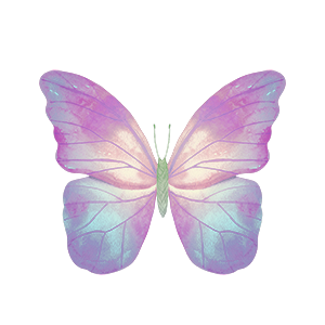 Butterfly_09