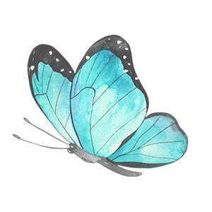 Butterfly_10